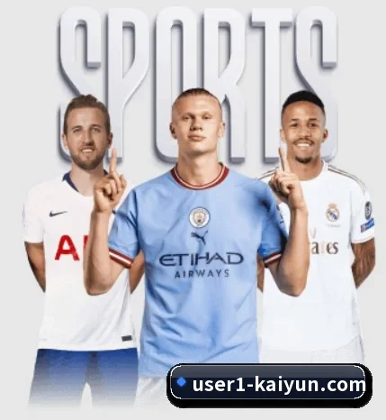五大服务分区,信息按项目分类(KaiyunSports)